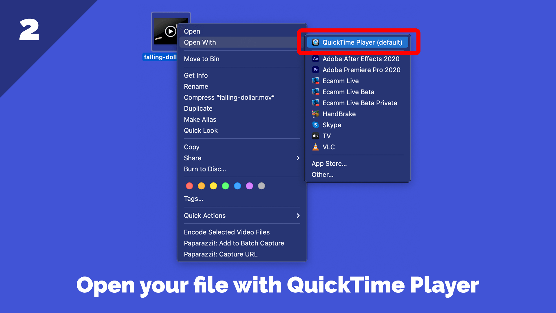 Open your file in QuickTime
